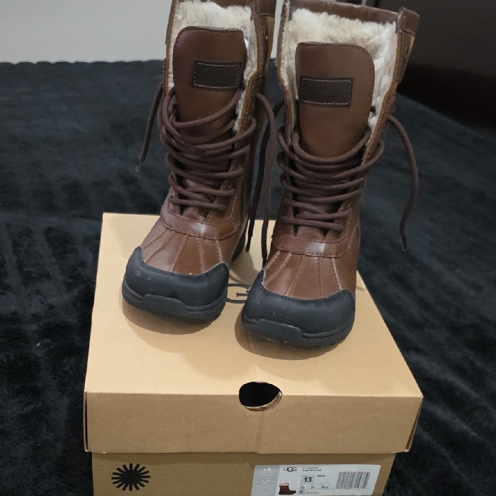 UGG Chestnut Boots with Cozy Lining